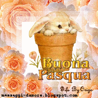 SOMMARIVA DEL BOSCO