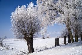 Immagine: METEO