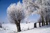 Immagine: METEO