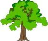 Immagine: UN ALBERO UNA VITA